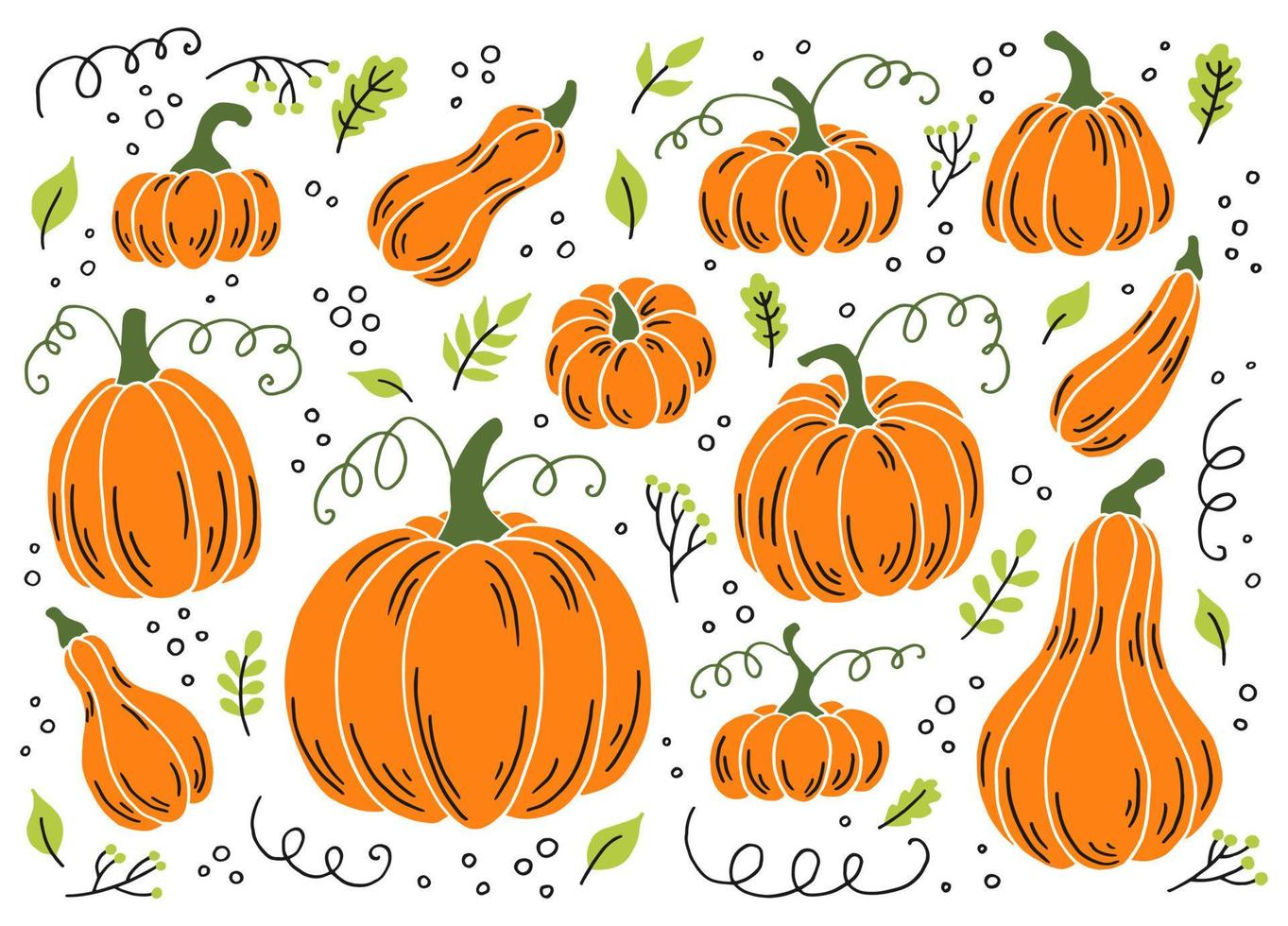 calabaza de varias formas. elementos de acción de gracias y halloween. ilustración vectorial dibujada a mano. vector