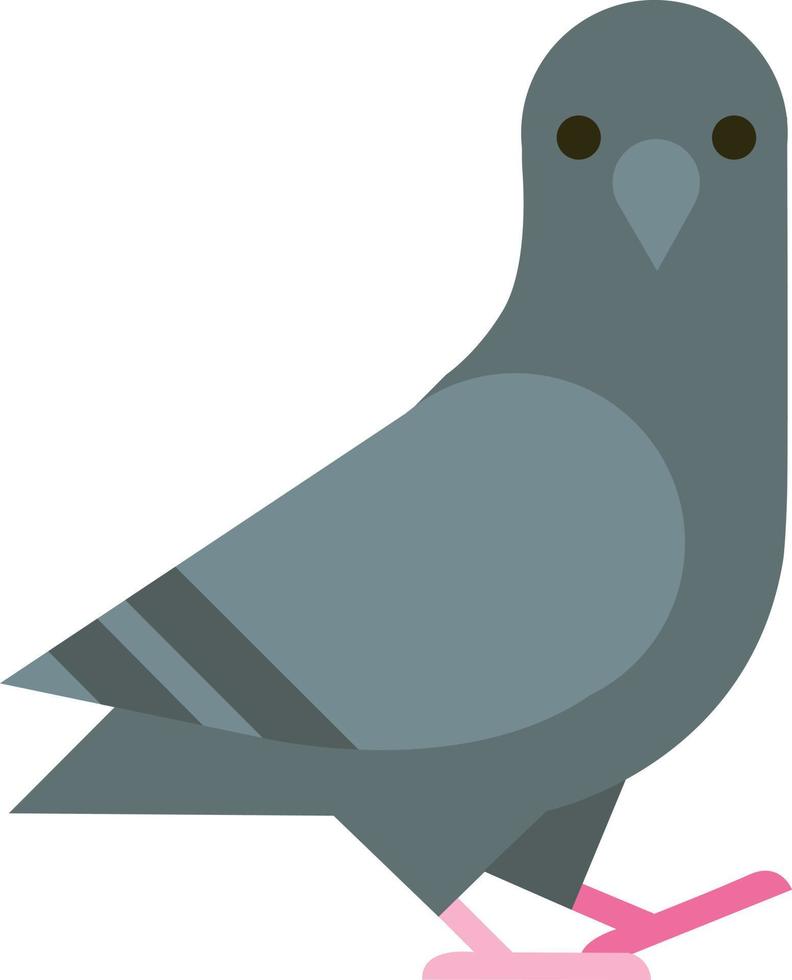 Pigeon Dove Bird vector