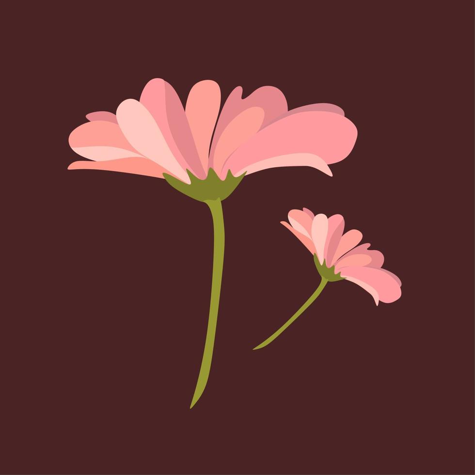 Brown retro background.Pink is a delicate, fluffy, dense flower with petals. The same small flower falls nearby. The delicate composition is isolated. Printing for design. vector