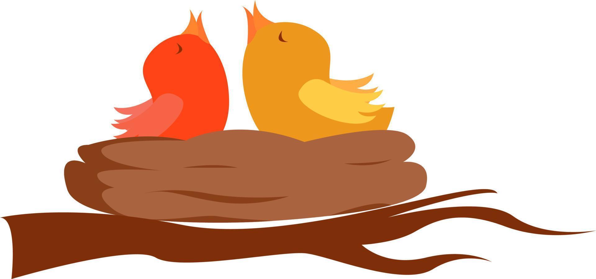Chicks in nest, illustration, vector on white background.