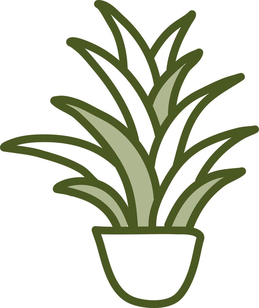 Planta dracaena en maceta, ilustración, vector sobre fondo blanco.