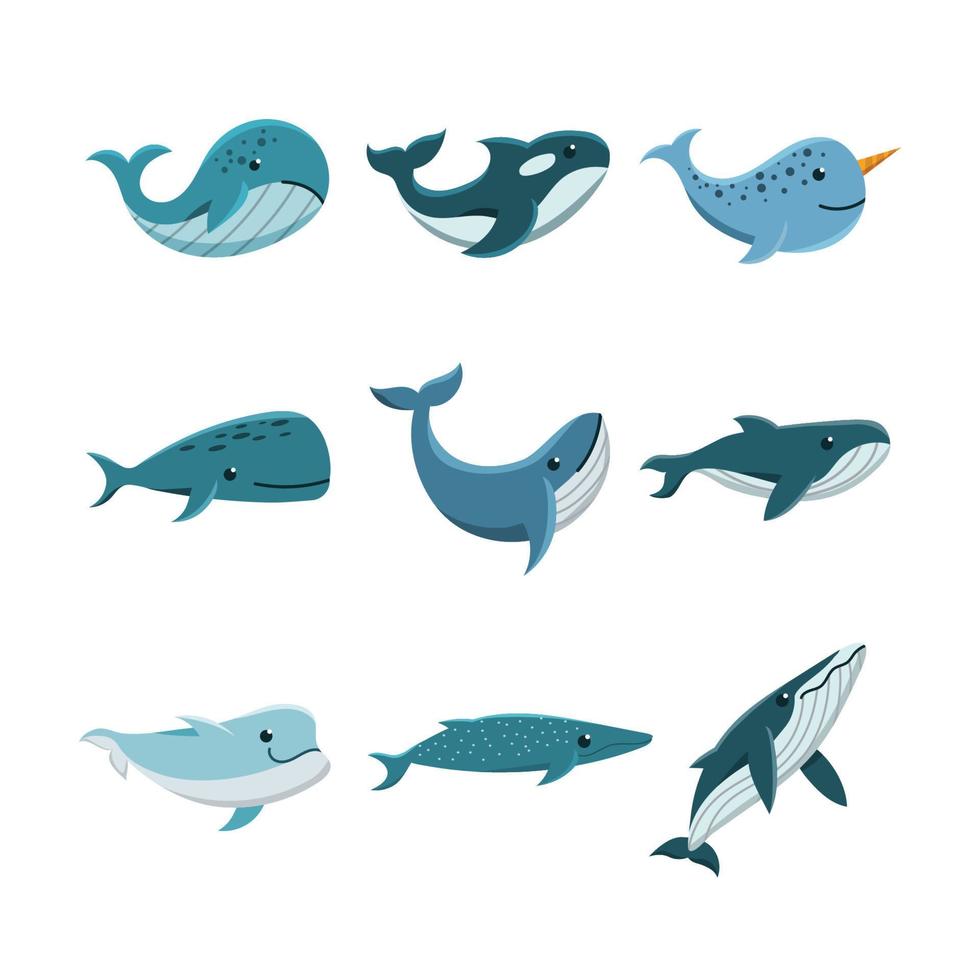 varias colecciones de iconos de ballenas vector