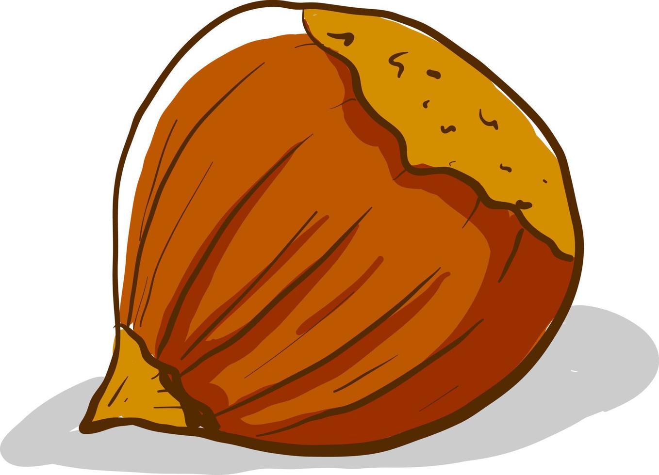 Flat hazelnut, illustration, vector on white background.