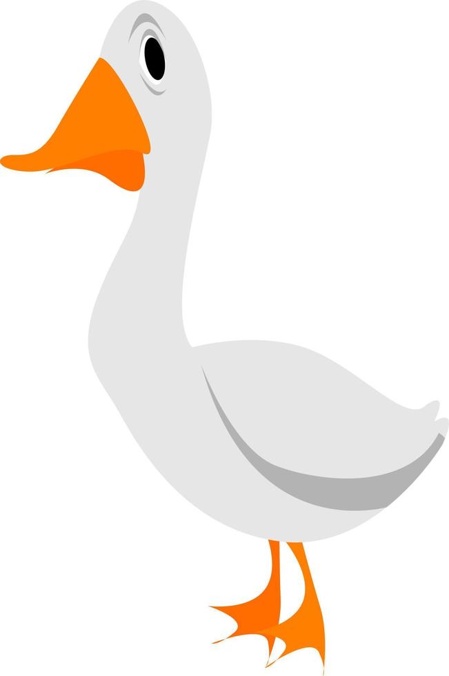 White goose, illustration, vector on white background.