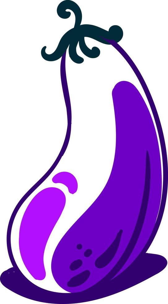 Drawing eggplant, illustration, vector on white background