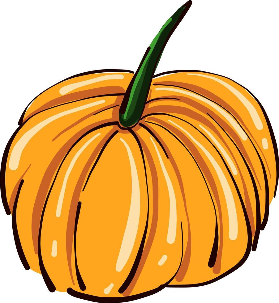 calabaza naranja, ilustración, vector sobre fondo blanco.