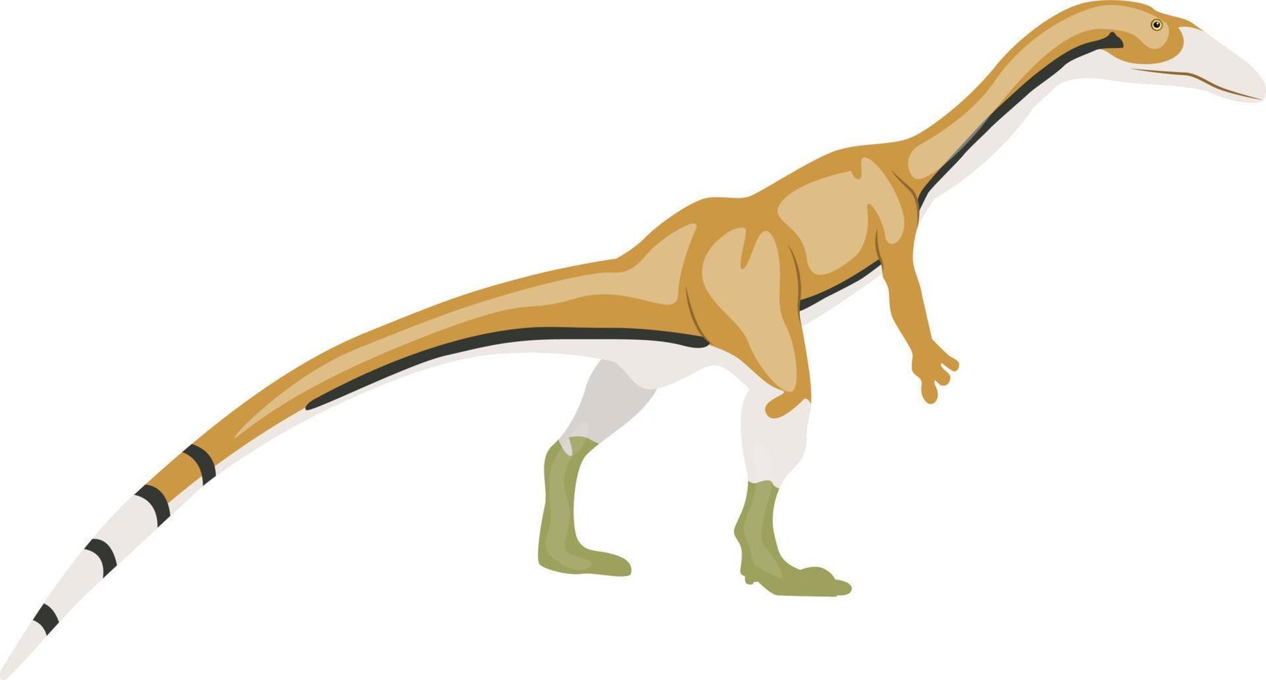 Coelophysis, illustration, vector on white background.