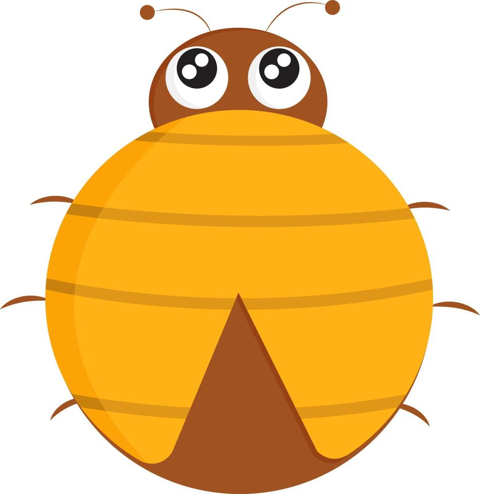 A brown and yellow colored bug, vector or color illustration.