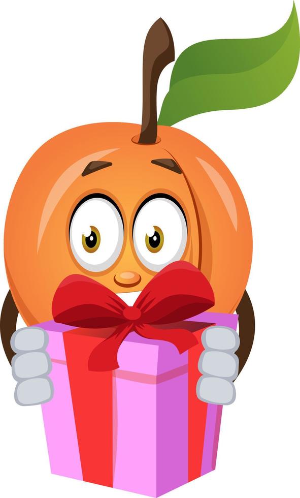 Apricot with present, illustration, vector on white background.