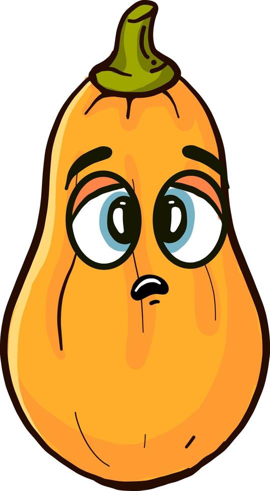 Bored butternut squash,illustration,vector on white background vector