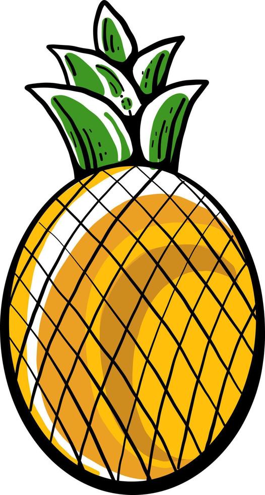 Ordinary pineapple, illustration, vector on white background.