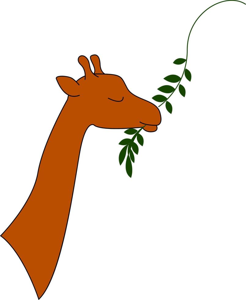 Giraffe eatting, illustration, vector on white background.