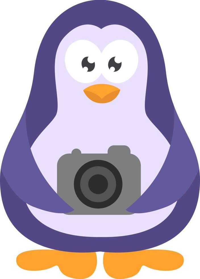 pingüino fotógrafo, ilustración de icono, vector sobre fondo blanco