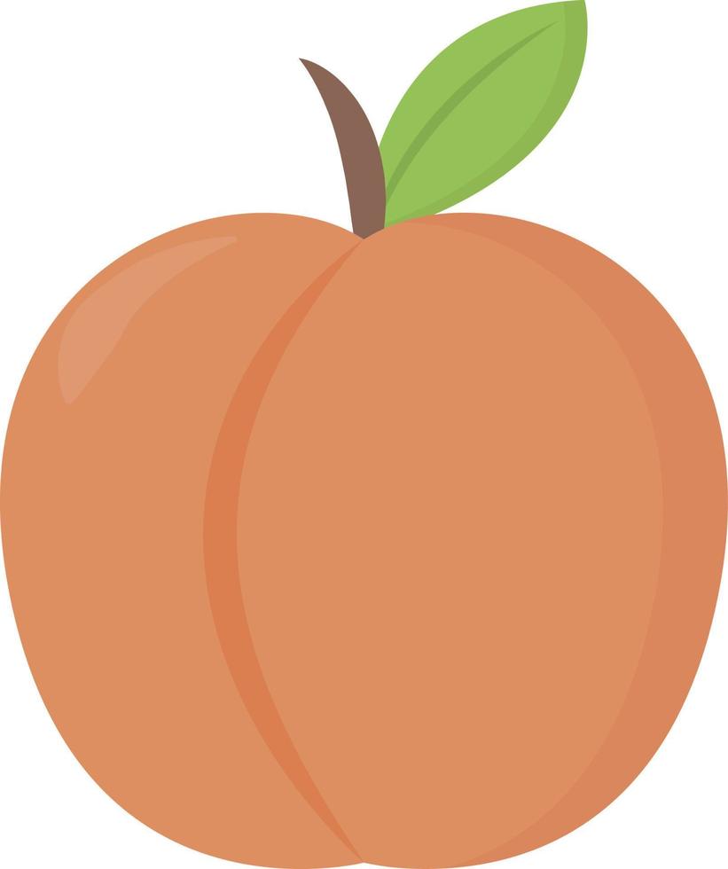 Fresh peach, illustration, vector on white background.