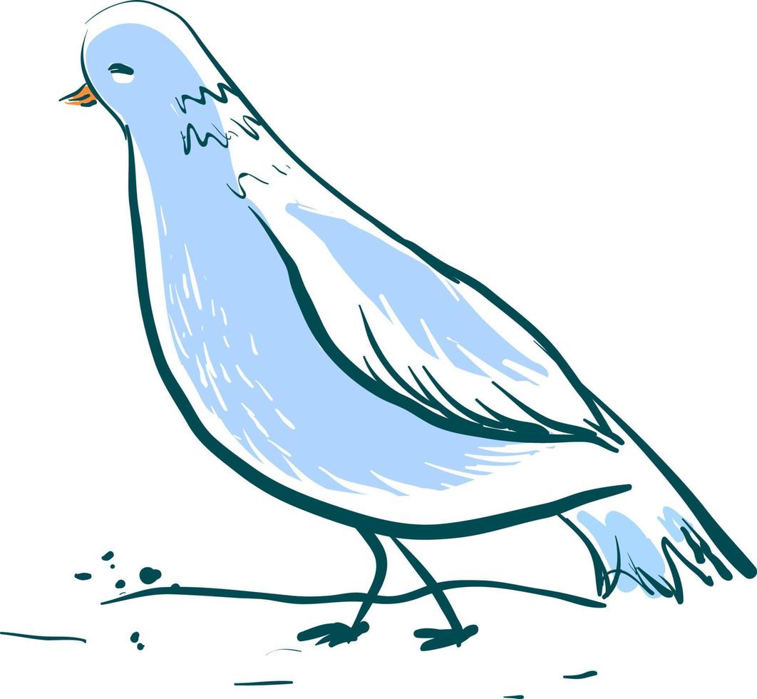 Hermosa paloma azul, ilustración, vector sobre fondo blanco.