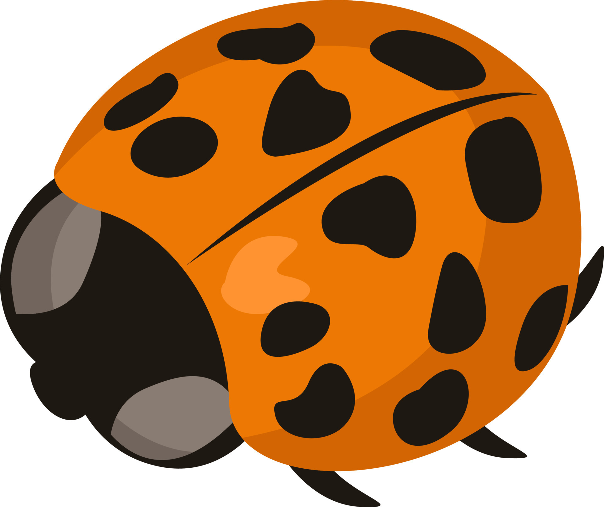 Orange ladybug, illustration, vector on white background 13595760