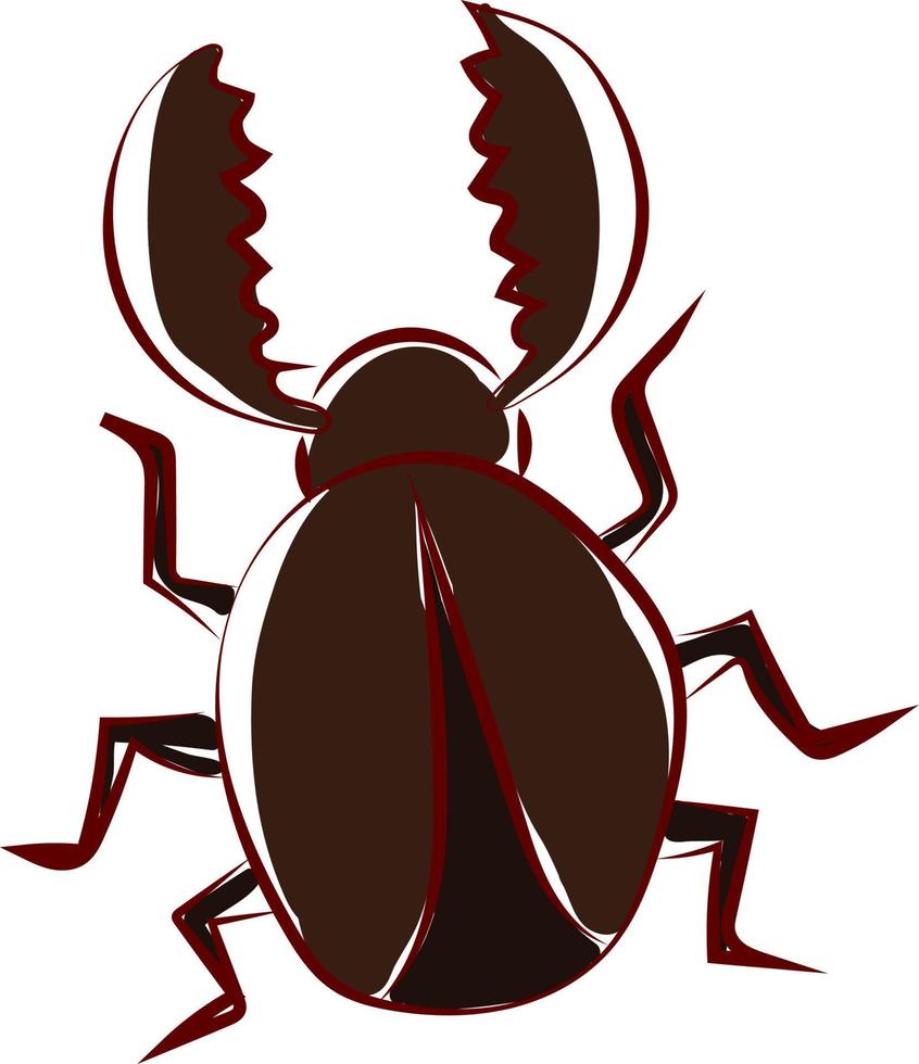 Brown beetle bug, illustration, vector on white background.