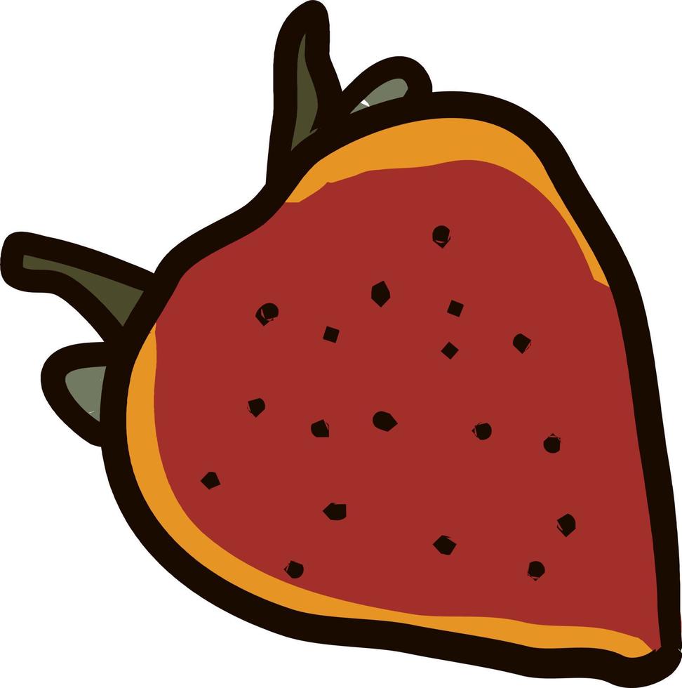 Strawberry drawing, illustration, vector on white background.