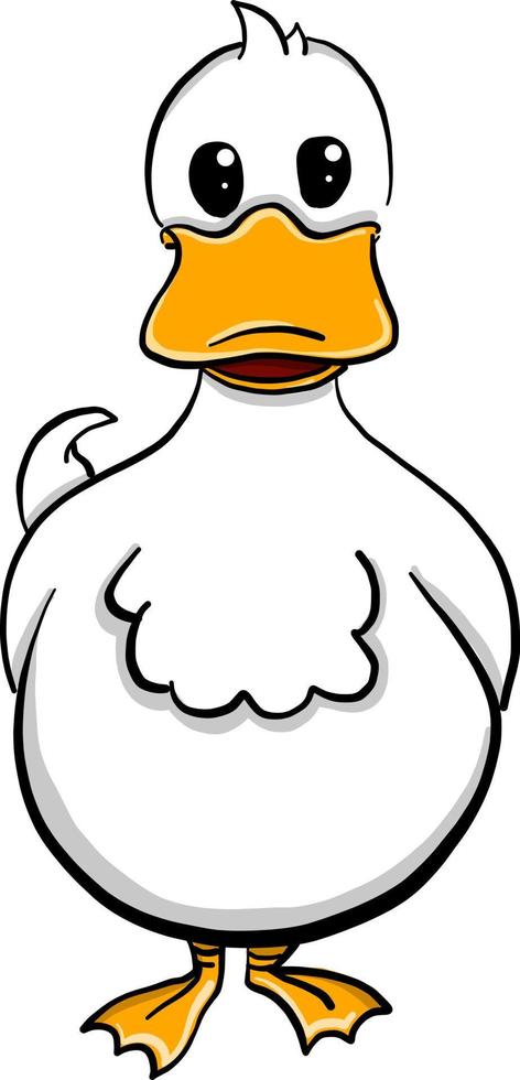 White duck, illustration, vector on white background