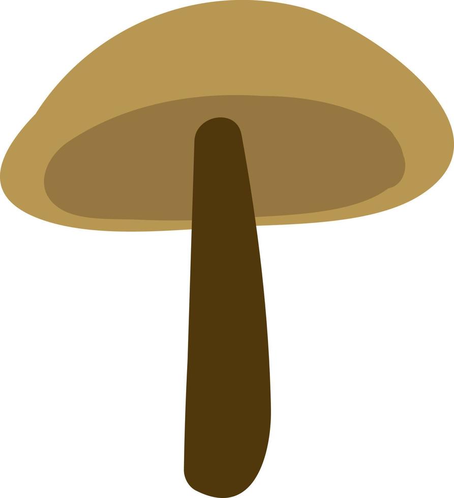Portabello mushroom, illustration, vector on a white background.