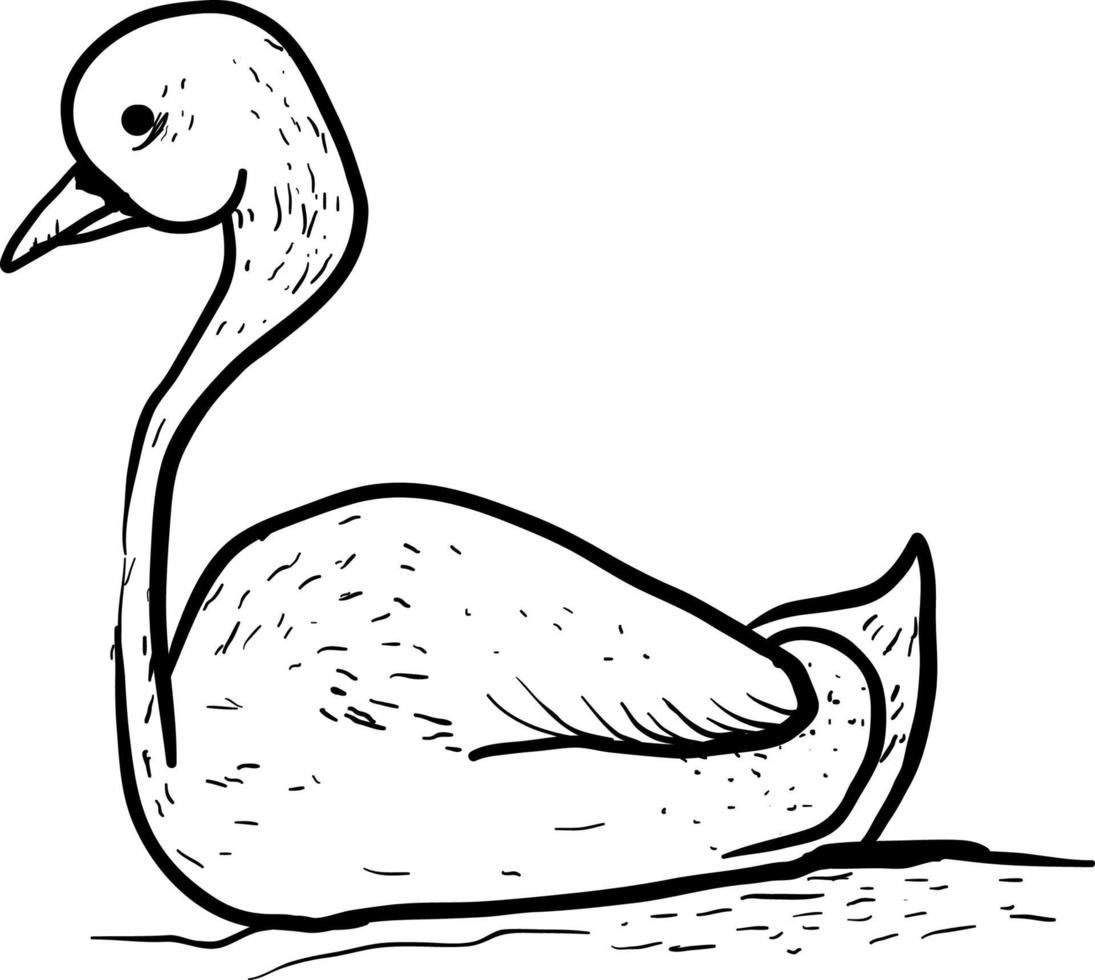 Drawing of swan, illustration, vector on white background.