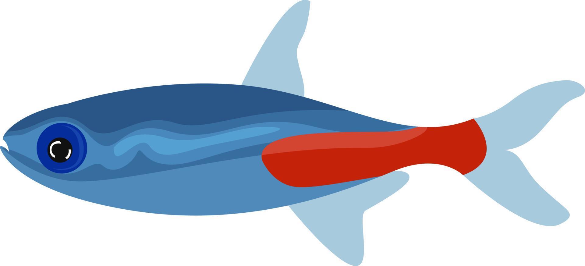 Neon Tetra Illustration Vector On White Background 13596324 Vector Neon Tetra Illustration On White Background Free Vector