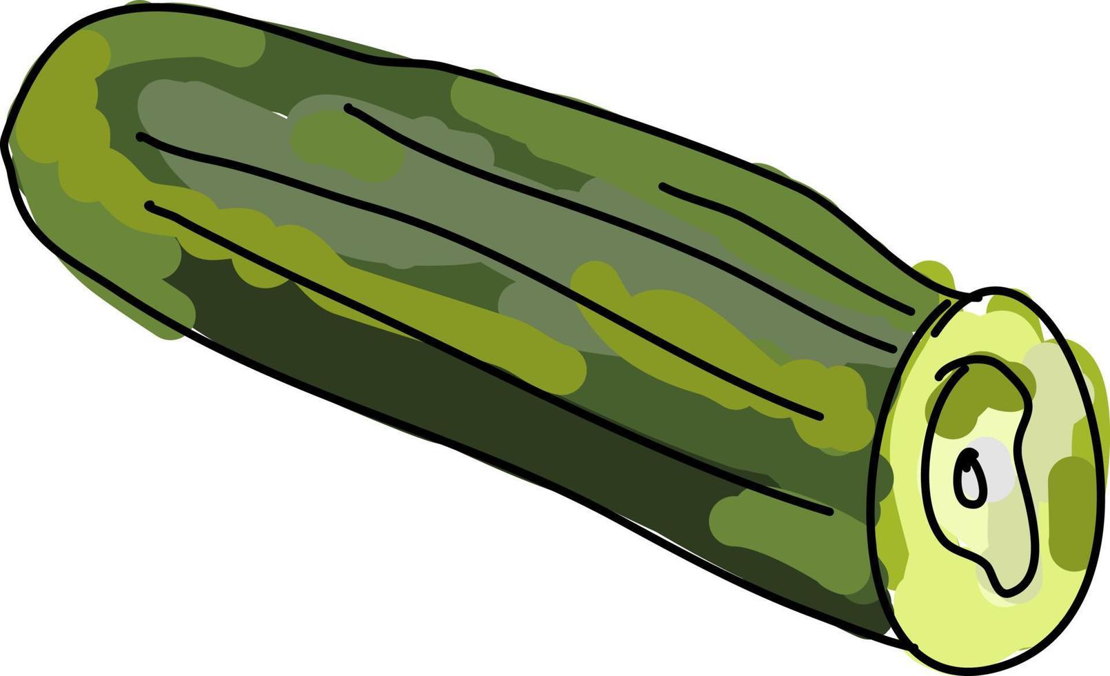 Fresh cucumber, illustration, vector on white background.