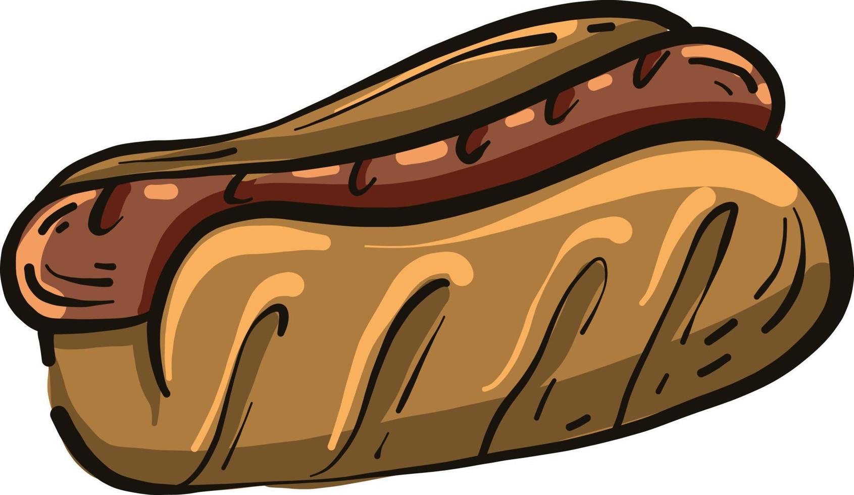 Delicious hot dog, illustration, vector on a white background.