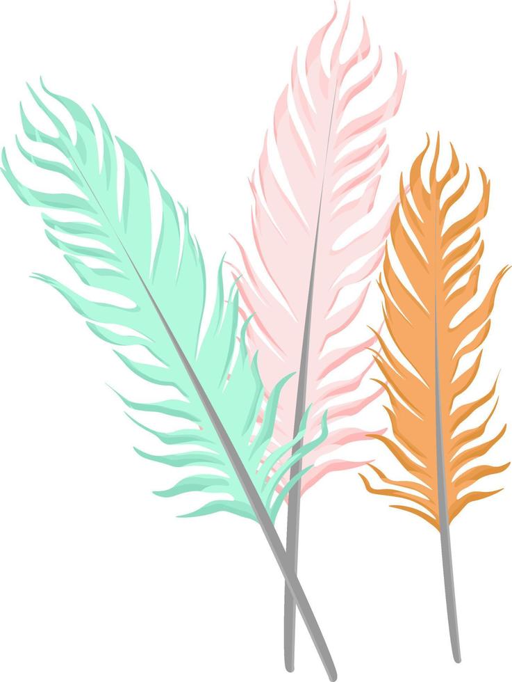 Pretty feathers, illustration, vector on white background