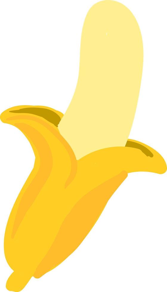 Peeled banana, illustration, vector on white background.