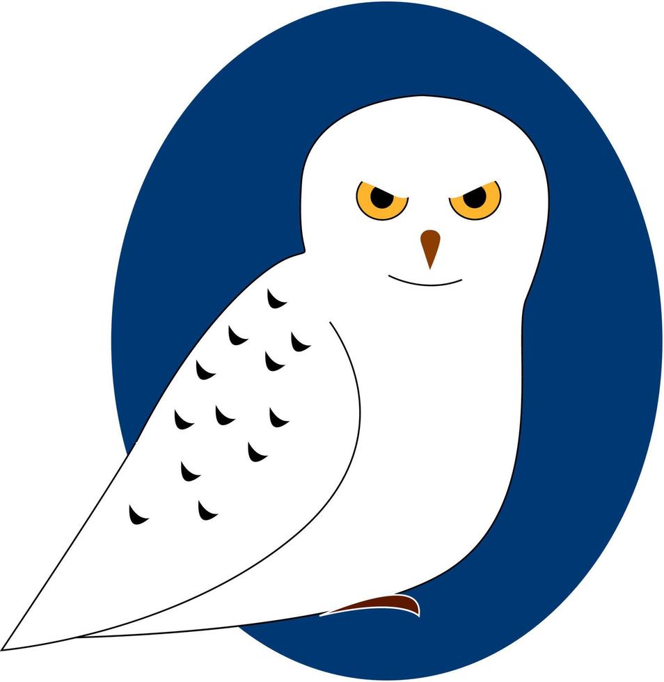 White owl, illustration, vector on white background.