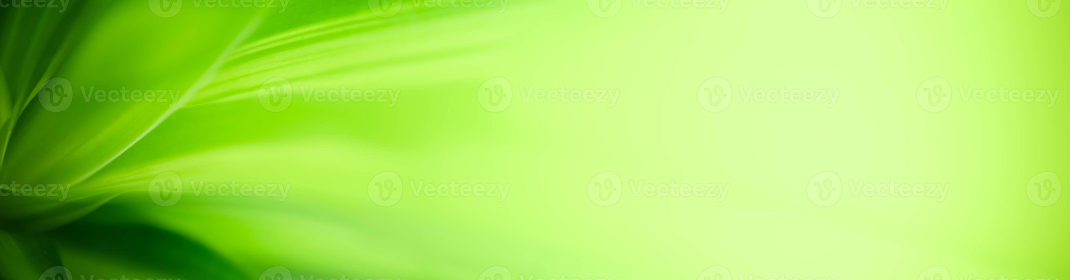 Natural green leaves plants used as spring background cover page greenery environment ecology lime green wallpaper photo