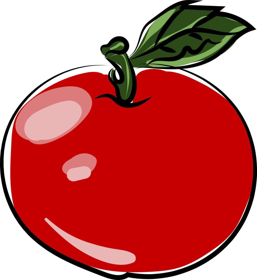 Red apple, illustration, vector on white background.