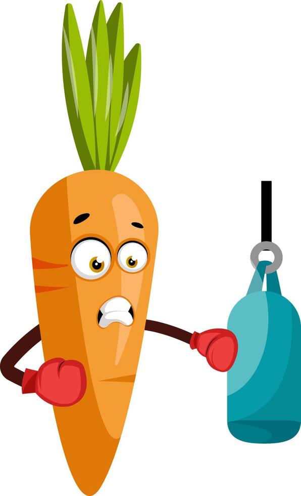 Carrot boxing, illustration, vector on white background.