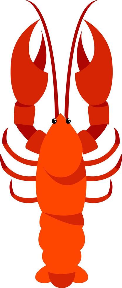 Lobster, illustration, vector on white background.