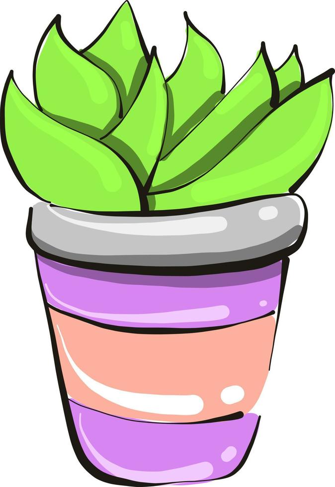 planta casera en una olla, ilustración, vector sobre fondo blanco