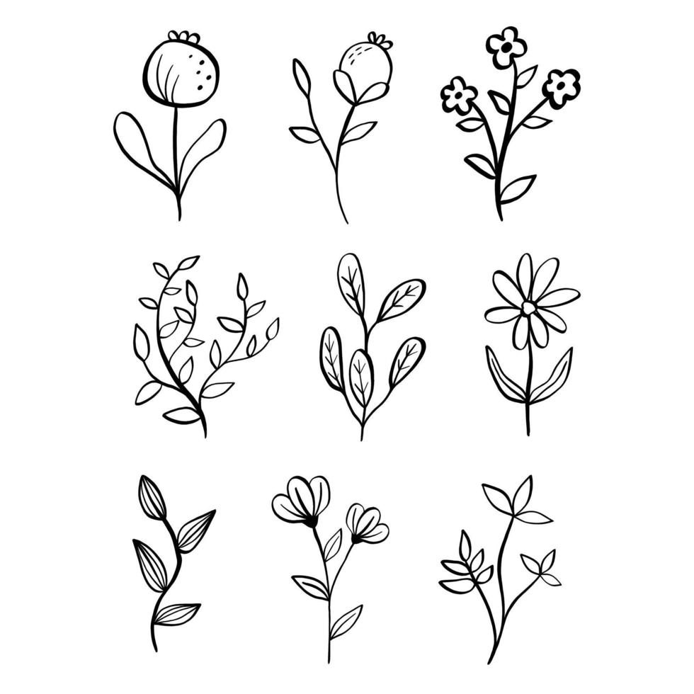 Set Of Flowers Leaves Floral Stems Stock Illustration - Download Image Now  - Flower, Drawing - Art Product, Doodle - iStock