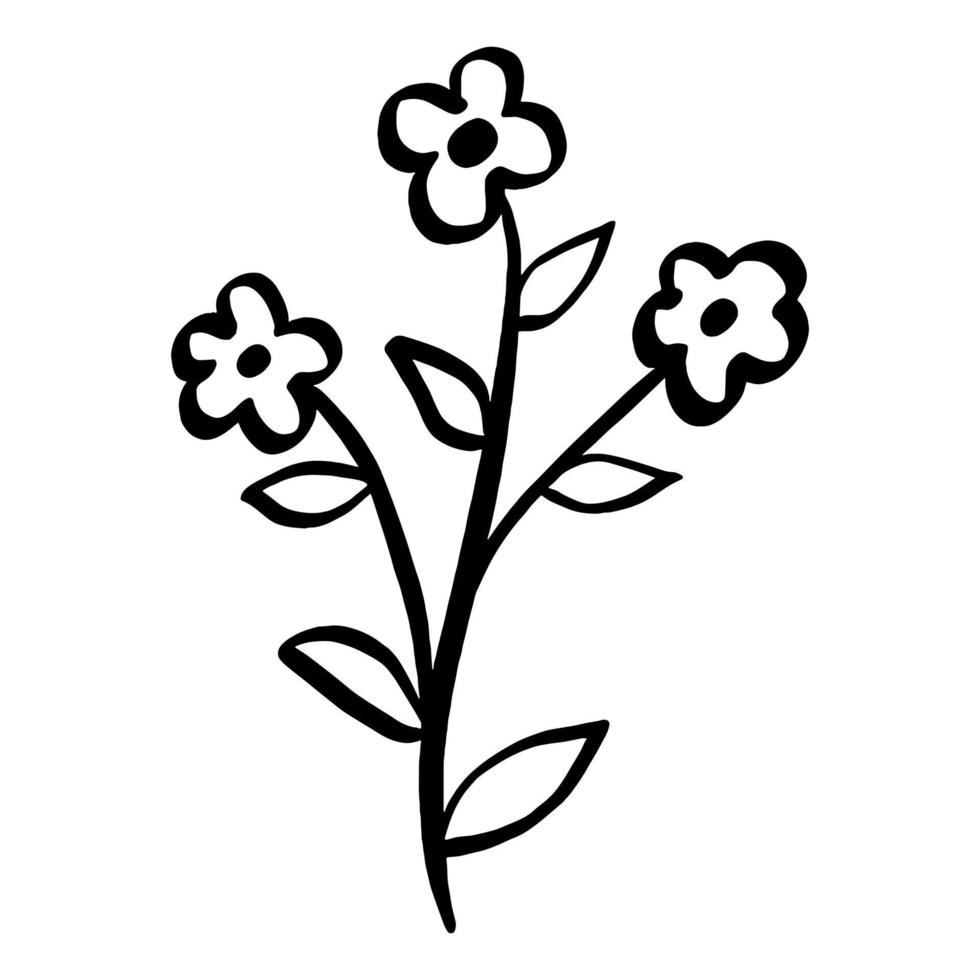 Black line doodle flowers leaves on white background. Vector illustration about nature.