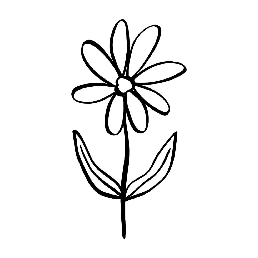 hojas de flores de fideos de línea negra sobre fondo blanco. ilustración vectorial sobre la naturaleza. vector