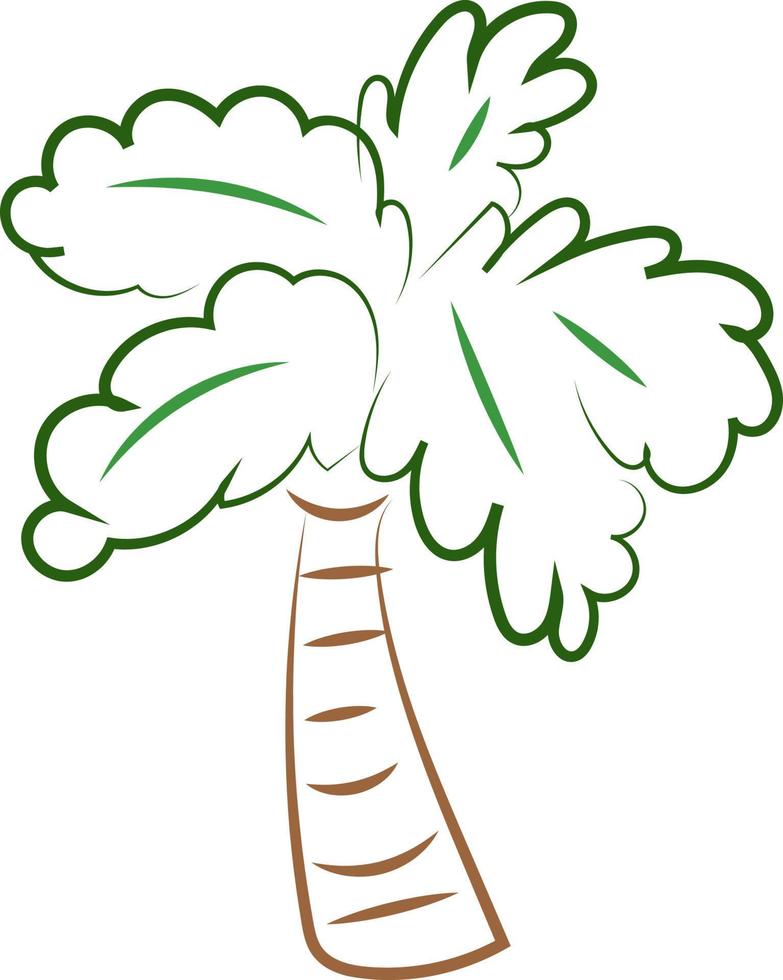 dibujo de palmera, ilustración, vector sobre fondo blanco.