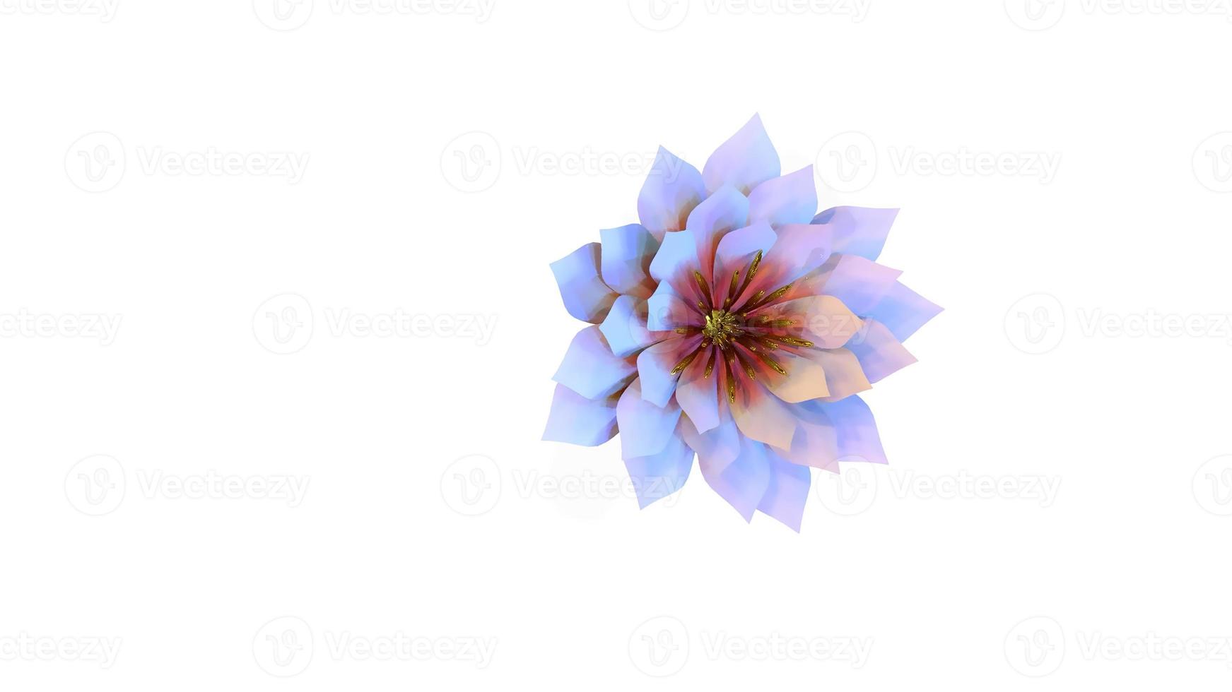 Waterlily Botanical Flower 3D Rendering photo