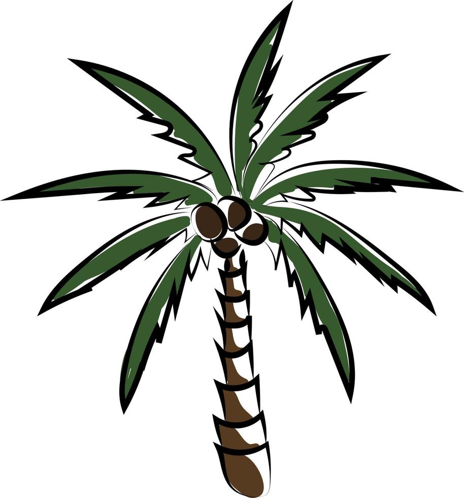 Palm tree, illustration, vector on white background.