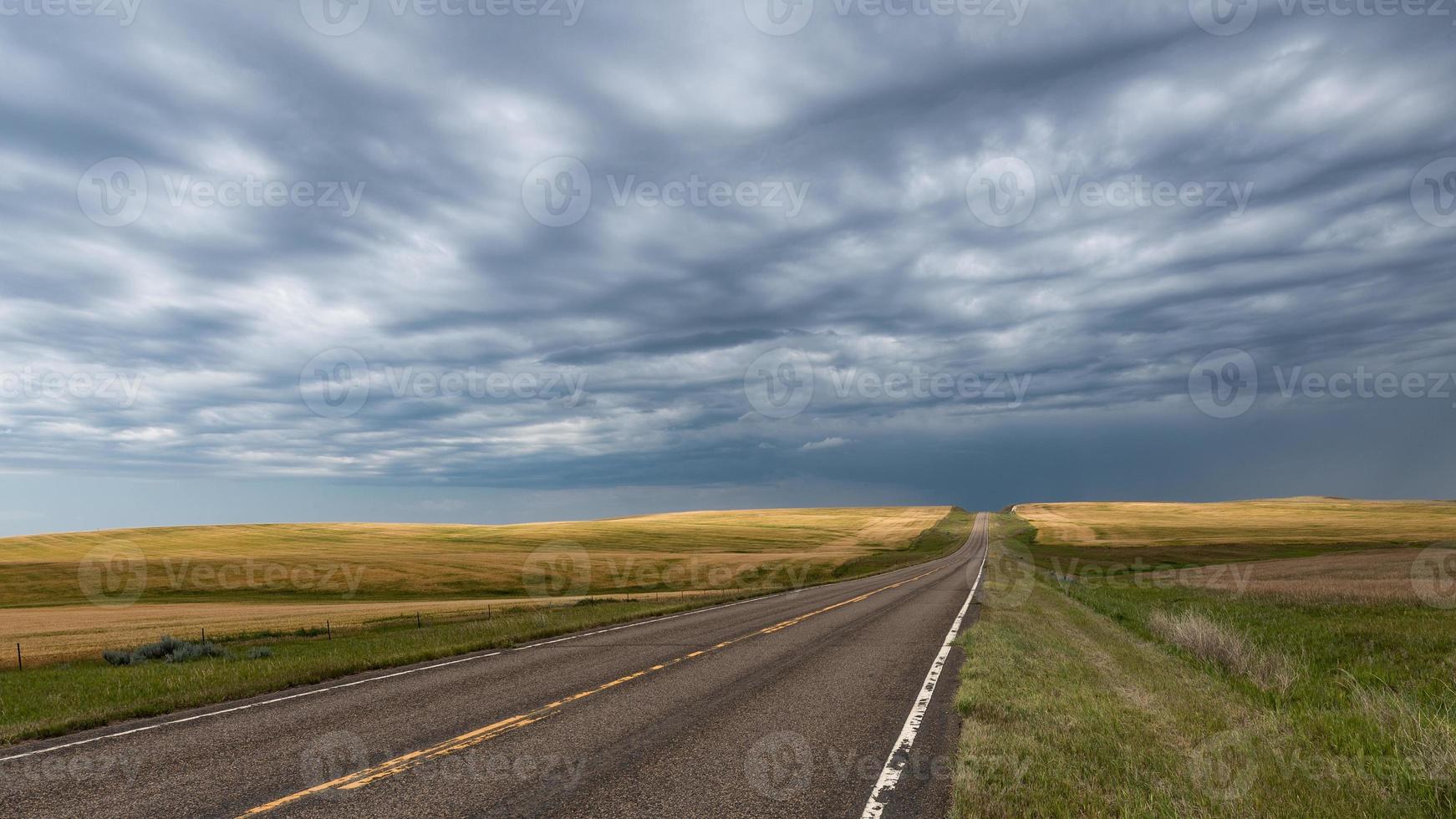 Highway and Wheat Fields in North Dakota photo
