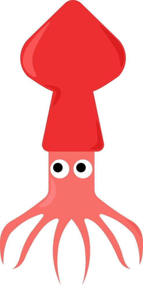 Calamar rojo, ilustración, vector sobre fondo blanco.