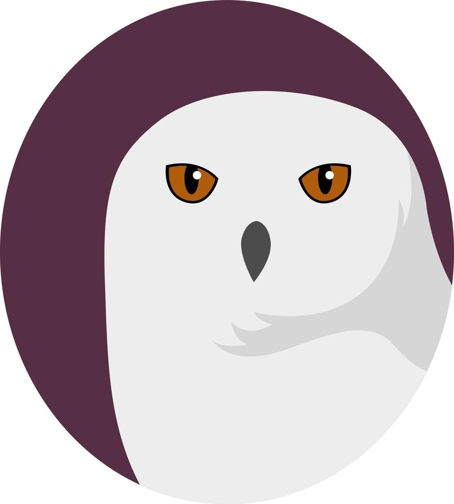 White owl, illustration, vector on white background.