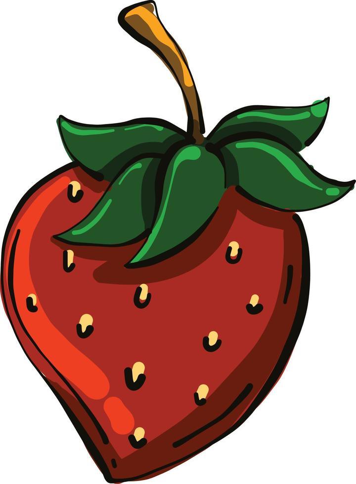 Fresh strawberry, illustration, vector on a white background.