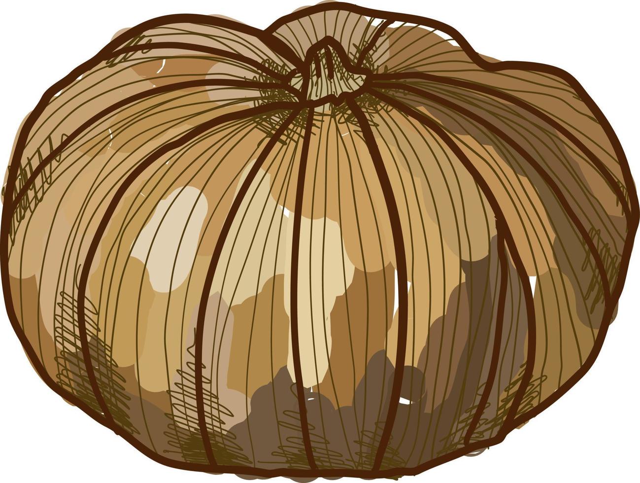 Cheese pumpkin, illustration, vector on white background