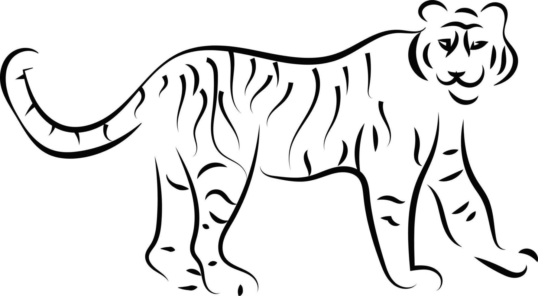 boceto de tigre, ilustración, vector sobre fondo blanco.