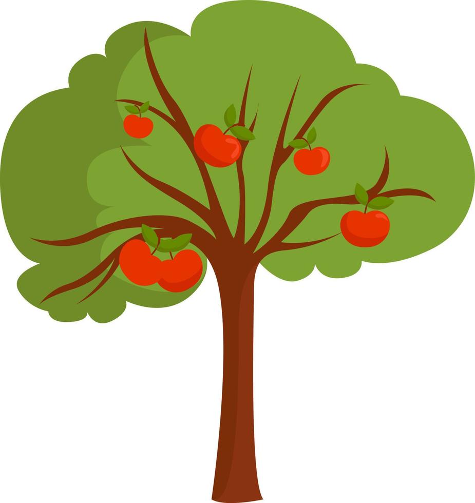 Manzana en el árbol, ilustración, vector sobre fondo blanco.