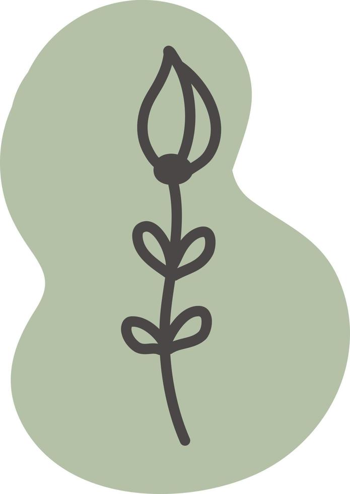 Daffodil flower, illustration, vector on a white background.